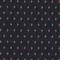 Orchestra Navy